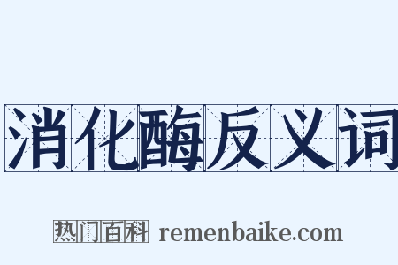 消化酶反义词是什么意思的图片